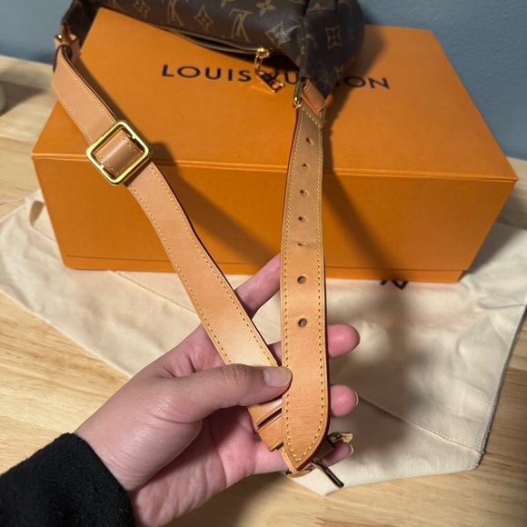 Louis Vuitton Bumbag - Picture 10 of 11